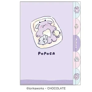 Popoca 5 Index Clear File