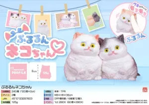 Jiggly Kitty